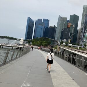 merlion-2