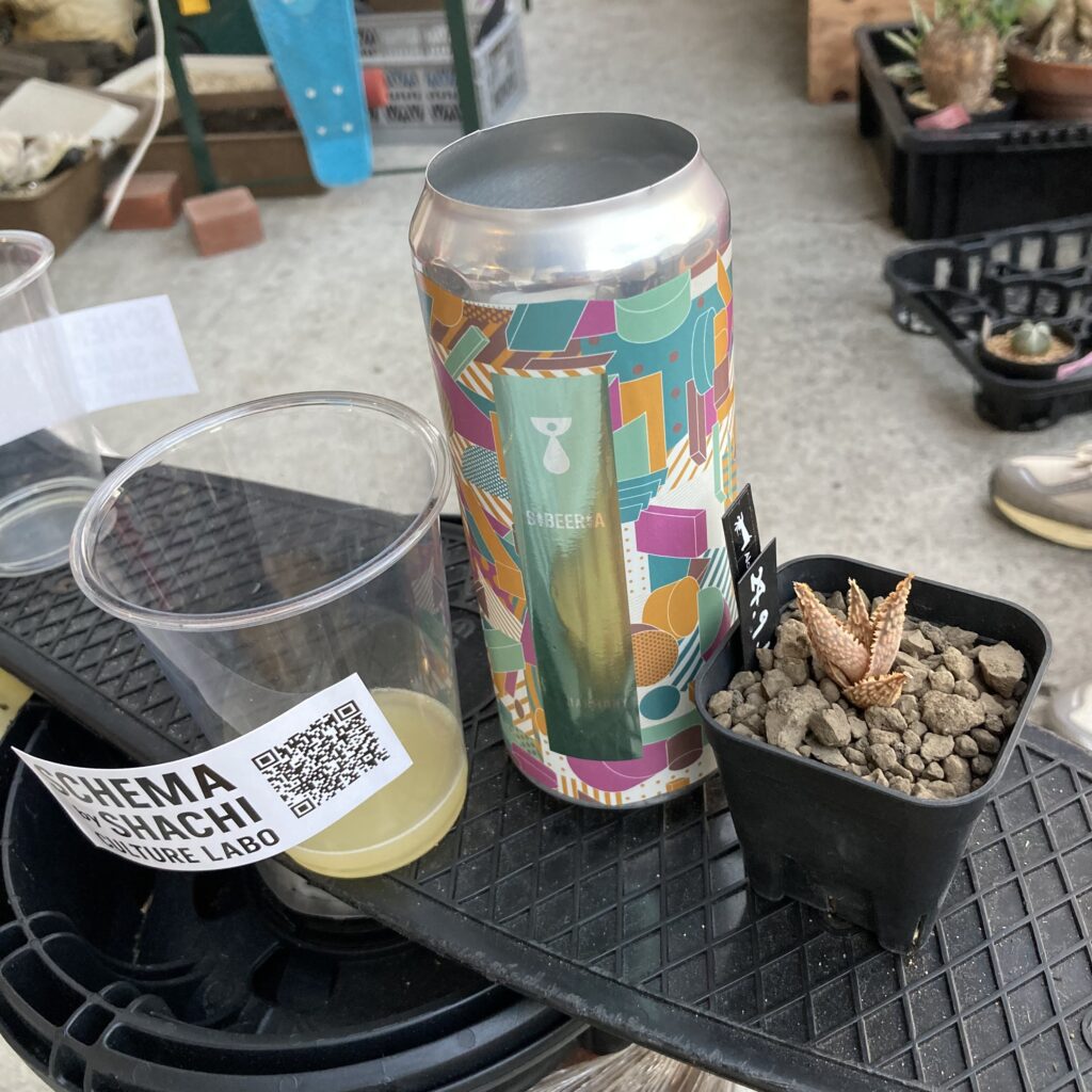 一緒に飲んでもらったTEENAGEさんのビールと、ゾンビさんにいただいたアロエ