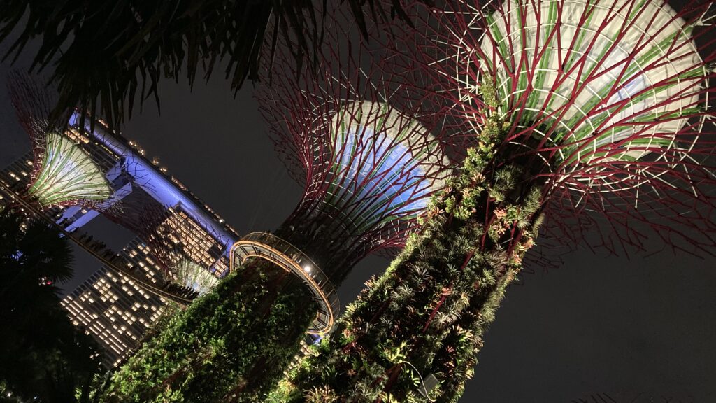 夜ライトアップされたスーパーツリーとマリーナベイサンズ