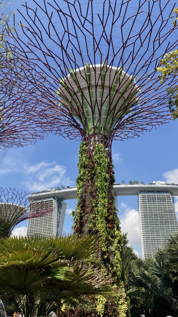 スーパーツリーとマリーナベイサンズのコラボレーション