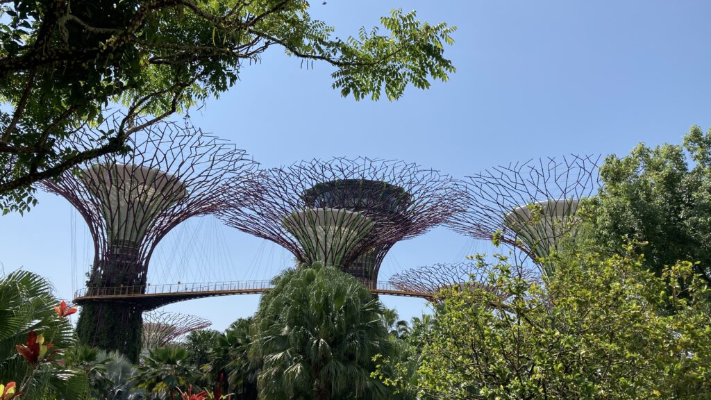 ガーデンズ・バイ・ザ・ベイのスーパーツリー（日中）